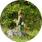 Bianca Oriana Willen Avatar